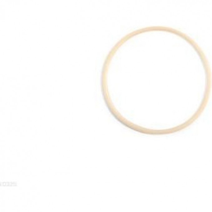 Уплотнительное кольцо INTEX 10325 Уплотнительное кольцо INTEX 10325